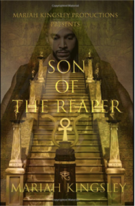 Image of Son of Reaper book 1