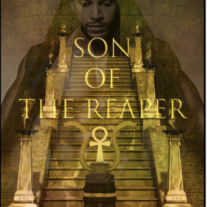 Image of Son of Reaper book 1